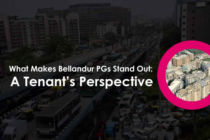 best accommodations spots for who want to live in pg or rent a house in bellandur